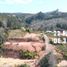  Land for sale in Chile, Penco, Concepción, Biobío, Chile