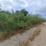  Terreno (Parcela) en venta en Progreso, Yucatán, Progreso