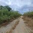  Terreno (Parcela) en venta en Progreso, Yucatán, Progreso