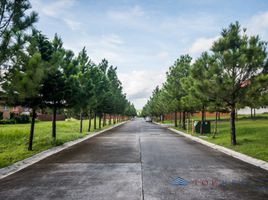  Land for sale in Muntinlupa City, Metro Manila, Muntinlupa City