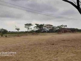  Land for sale in Daule, Guayas, Daule, Daule