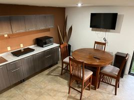 1 Schlafzimmer Wohnung zu vermieten in Queretaro, Queretaro, Queretaro, Queretaro