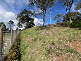  Land for sale in El Carmen De Viboral, Antioquia, El Carmen De Viboral