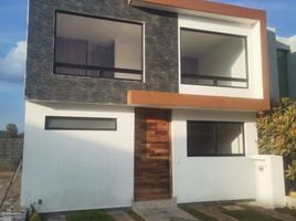 Appartement 3 chambre à vendre à Zapopan, Jalisco, Zapopan