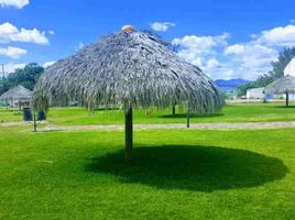  Grundstück zu verkaufen in Silao, Guanajuato, Silao