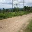  Land for sale in Icononzo, Tolima, Icononzo