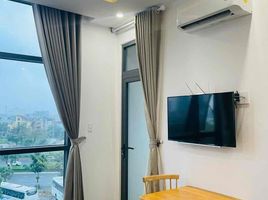 1 chambre Appartement for rent in Vincom Shopping Center, An Hai Bac, An Hai Bac