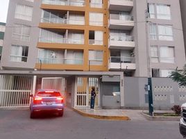 3 Habitación Departamento en alquiler en University of Piura (Lima campus), Miraflores, Santiago de Surco