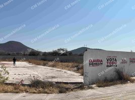  Land for sale in Zaragoza, San Luis Potosi, Zaragoza