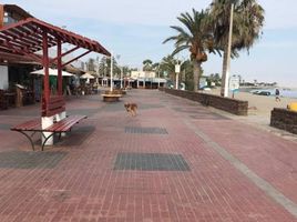  Terreno (Parcela) en venta en Ica, Paracas, Pisco, Ica