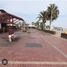  Grundstück zu verkaufen in Paracas, Ica, Paracas, Pisco