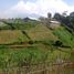  Land for sale in Lembang, Bandung, Lembang