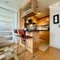 칠레PropertyTypeNameBedroom, Vina Del Mar, 발파라 이소, 발파라 이소, 칠레