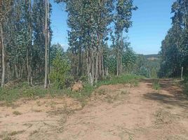  Land for sale in Concepción, Biobío, Concepcion, Concepción