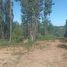  Land for sale in Concepcion, Biobío, Concepcion