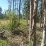  Land for sale in Concepción, Biobío, Concepcion, Concepción