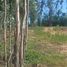  Land for sale in Concepción, Biobío, Concepcion, Concepción