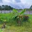  Terrain for sale in Iquitos, Maynas, Iquitos