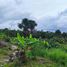  Terrain for sale in Loreto, Iquitos, Maynas, Loreto