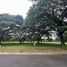  Terreno (Parcela) en venta en Calamba City, Calabarzon, Calamba City, Laguna, Calabarzon, Filipinas