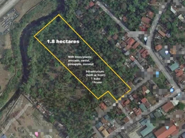  Land for rent in Santo Tomas, Batangas, Santo Tomas