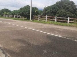  Land for sale in San Carlos City, Negros Occidental, San Carlos City