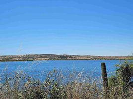  Terreno (Parcela) en venta en Cardenal Caro, Libertador General Bernardo O'Higgins, Marchihue, Cardenal Caro