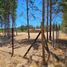  Terreno (Parcela) en venta en Cardenal Caro, Libertador General Bernardo O'Higgins, Marchihue, Cardenal Caro