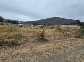  Grundstück zu verkaufen in Tlajomulco De Zuniga, Jalisco, Tlajomulco De Zuniga