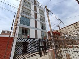 3 Habitación Apartamento en venta en Callao, Ventanilla, Callao, Callao