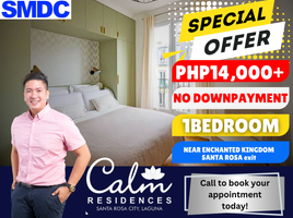 1 Bedroom Condo for sale at Calm Residences, Santa Rosa City