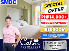 1 Bedroom Condo for sale at Calm Residences, Santa Rosa City