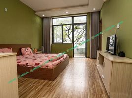 1 Habitación Apartamento en alquiler en Son Tra, Da Nang, Nai Hien Dong, Son Tra