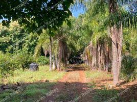  Terrain for sale in San Blas, Nayarit, San Blas