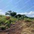  Terrain for sale in San Blas, Nayarit, San Blas