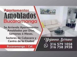 2 Bedroom Condo for rent in Santander, Bucaramanga, Santander