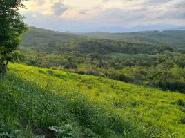  Terreno (Parcela) en venta en Lamas, San Martín, Lamas, Lamas