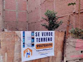  Terreno (Parcela) en venta en San Martin de Porres, Lima, San Martin de Porres