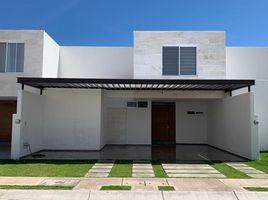 在Aguascalientes出租的3 卧室 公寓, Aguascalientes, Aguascalientes