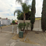 2 Bedroom House for sale in Tlaquepaque, Jalisco, Tlaquepaque