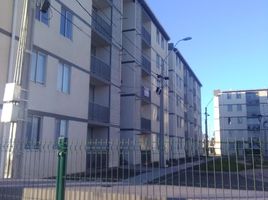3 Habitación Apartamento en alquiler en Chile, Coronel, Concepción, Biobío, Chile