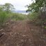  Land for sale in Atoyac, Jalisco, Atoyac