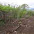  Land for sale in Atoyac, Jalisco, Atoyac