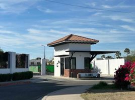 1 Schlafzimmer Appartement zu vermieten in Hermosillo, Sonora, Hermosillo, Sonora