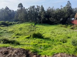  Terrain for sale in Alangasi, Quito, Alangasi