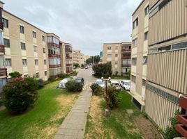 4 Habitación Apartamento en venta en Valparaíso, Valparaiso, Valparaíso, Valparaíso