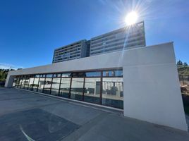 2 Habitación Apartamento en alquiler en Chile, Concepcion, Concepción, Biobío, Chile