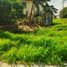  Terreno (Parcela) en venta en Lapu-Lapu City, Central Visayas, Lapu-Lapu City, Cebu