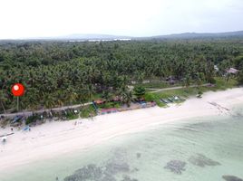  Land for sale in Poro, Cebu, Poro