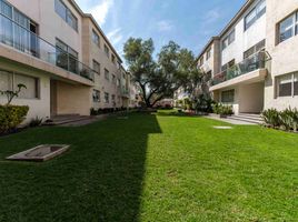 Condominium 3 chambre à vendre à Alvaro Obregon, Mexico City, Alvaro Obregon